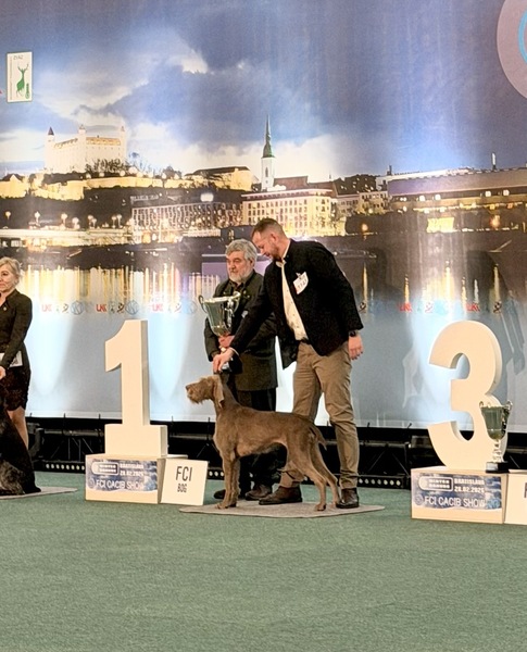 vystava-psov-stavac-slovensko3